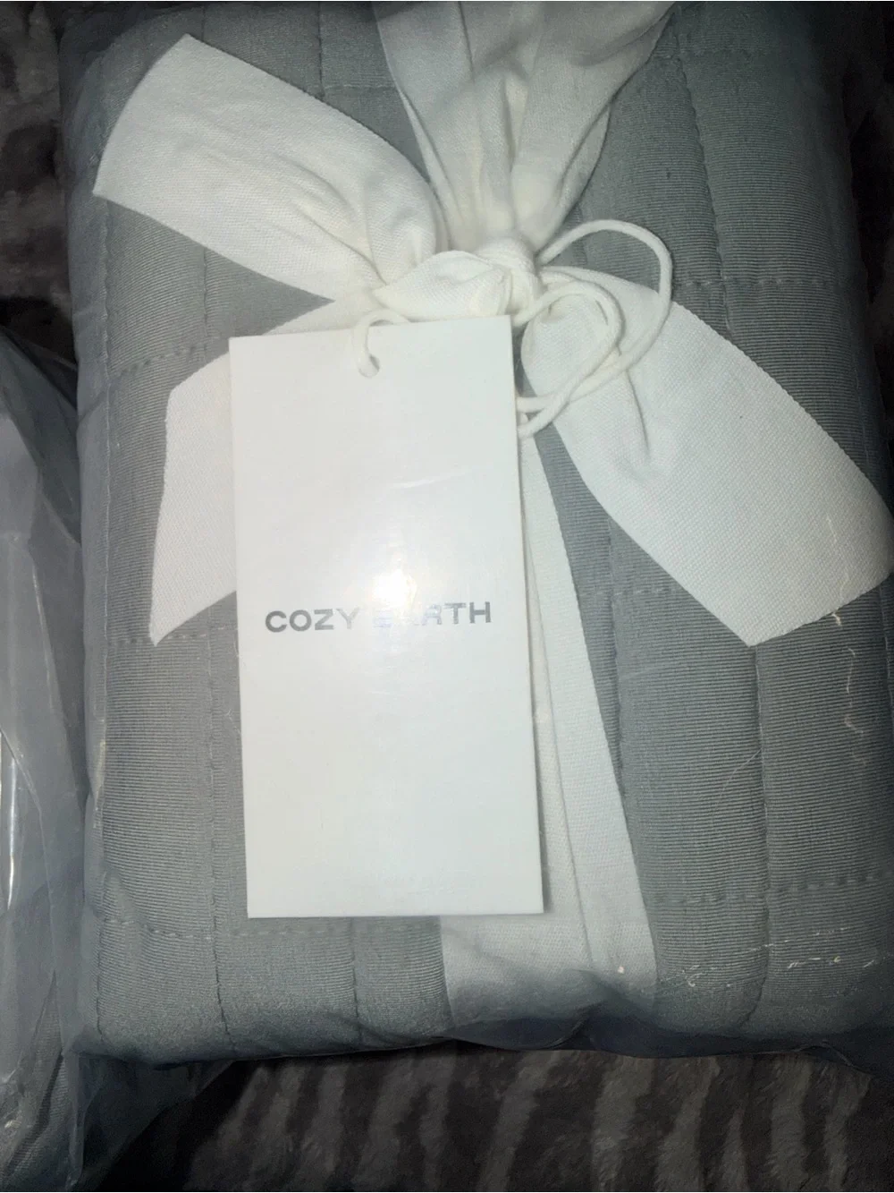 Cozy Earth Quilted Pillow Shama set of 2- Soft Light Gray Home Bedding